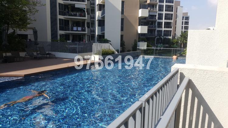Palm Isles (D17), Condominium #150688622